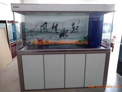 彩蝶水族有限公司怎么样：彩蝶水族有限公司是一家位于黑龙江省佳木斯市的鱼具水族销售公司 彩鲽鱼缸（彩蝶鱼缸） 第1张