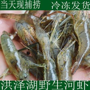 龙鱼吃白虾还是青虾好：龙鱼可以喂食的虾类包括多种淡水虾和海水虾 龙鱼百科 第1张