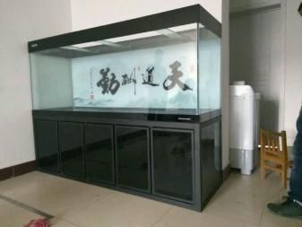 彩蝶鱼缸玻璃厚度：彩蝶鱼缸玻璃厚度可能会根据具体型号和尺寸有所不同 彩鲽鱼缸（彩蝶鱼缸） 第3张