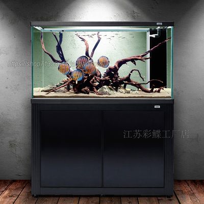 彩蝶水族箱哪个系列好用点：彩蝶水族箱品牌选择指南 彩鲽鱼缸（彩蝶鱼缸） 第2张