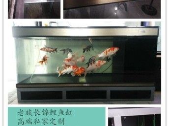 魟鱼在鱼缸的作用是什么意思啊视频教学：魟鱼在鱼缸中的作用 魟鱼百科 第2张