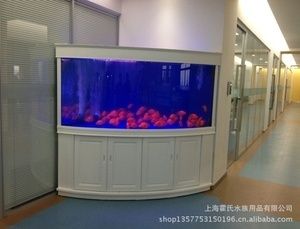 成品鱼缸价格：成品鱼缸的价格 鱼缸百科 第1张