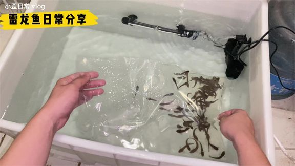 成品鱼缸价格：成品鱼缸的价格 鱼缸百科 第3张