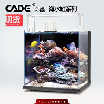 彩鲽水族有限公司官网：彩鲽水族有限公司官网信息并未直接给出 彩鲽鱼缸（彩蝶鱼缸） 第1张