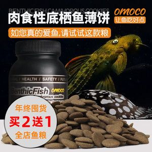 魟鱼能喂饲料吗有毒吗能吃吗：魟鱼的饲养需要注意以下几个方面 魟鱼百科 第2张