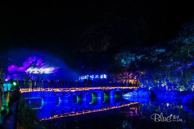 彩蝶水族馆：南京彩蝶水族馆