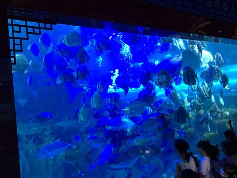 彩蝶水族馆：南京彩蝶水族馆