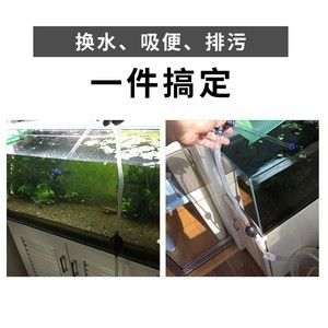 彻底清洗鱼缸重新开缸要多久才能好：如何清洗鱼缸并重新开缸