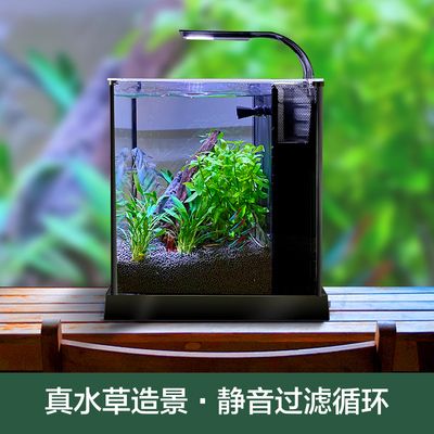 超白鱼缸刮花了：超白鱼缸刮花怎么办？ 鱼缸百科 第2张