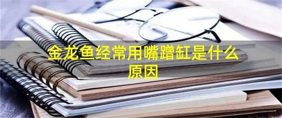 金龙鱼蹭着缸怎么回事：金龙鱼蹭缸可能有多种原因，主要包括以下几个方面