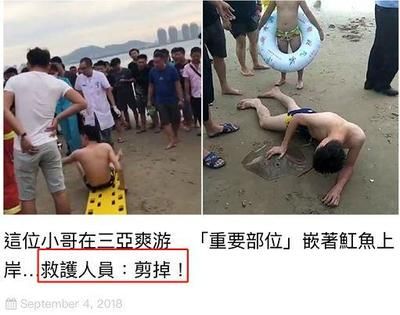 魟鱼扎人：[需手动填充]鱼为什么会扎人？ 魟鱼百科 第1张