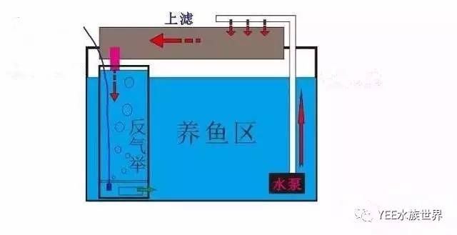 大型鱼缸过滤系统怎么安装：大型鱼缸过滤系统安装步骤和注意事项和注意事项 鱼缸百科 第1张