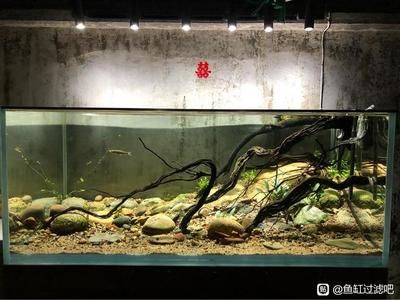 彩蝶鱼缸溢流区生物球：彩蝶鱼缸溢流区生物球的使用方法 彩鲽鱼缸（彩蝶鱼缸） 第4张