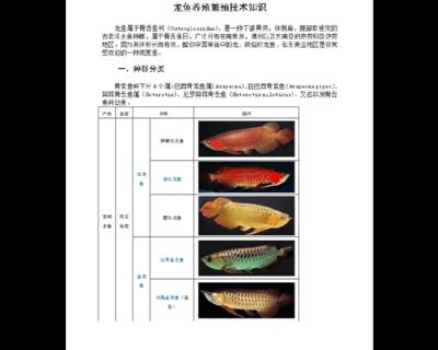 龙鱼为什么国内繁殖不了：关于龙鱼在国内繁殖不了的原因