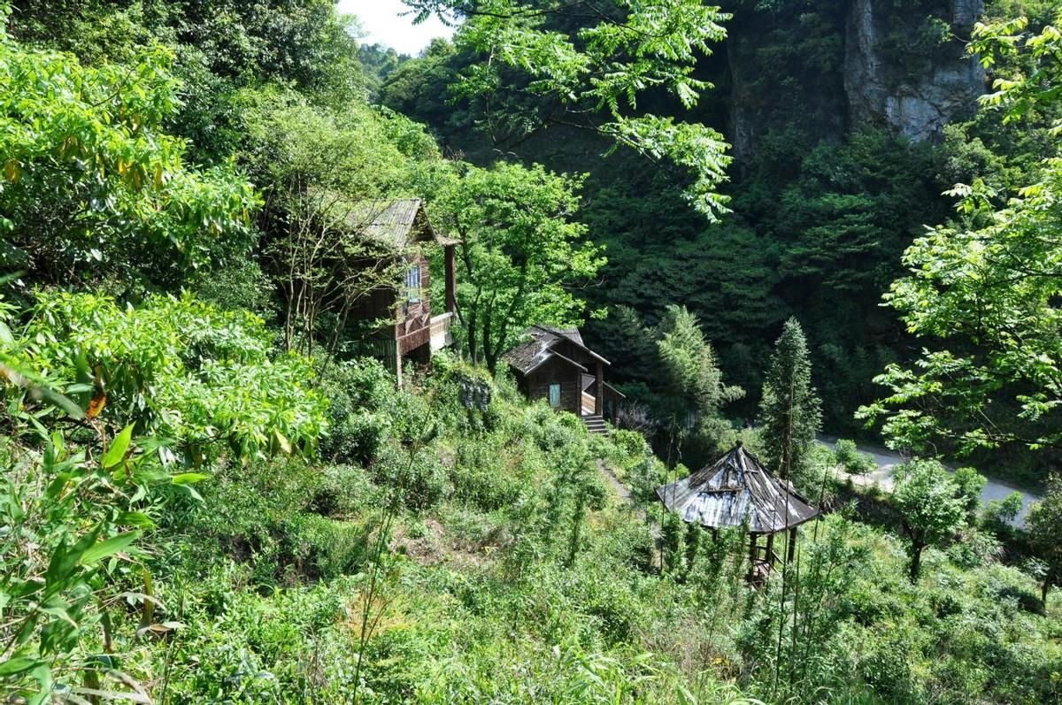 魟鱼不吃食能活多久呀：魟鱼不吃东西能活多久 魟鱼百科 第2张