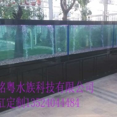 大型观赏鱼缸定制：大型观赏鱼缸定制与水族工程提供大型观赏鱼缸定制服务 鱼缸百科 第4张