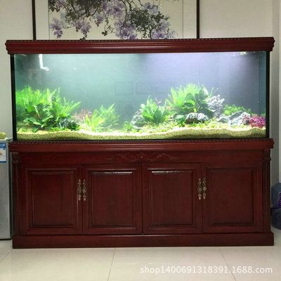 大型观赏鱼缸定制：大型观赏鱼缸定制与水族工程提供大型观赏鱼缸定制服务 鱼缸百科 第3张