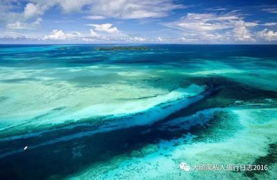 魟鱼老在水面上游：魟鱼老在水面上游可能有以下几种情况 魟鱼百科 第3张