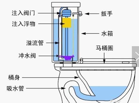 彩蝶溢流区构造图：如何减少鱼缸溢流区噪音