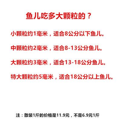 8公分的虎鱼吃什么饲料：8公分的虎鱼应该喂食哪些饲料