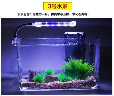 大圆鱼缸适合养水培植物：大圆鱼缸适合养什么水培植物？