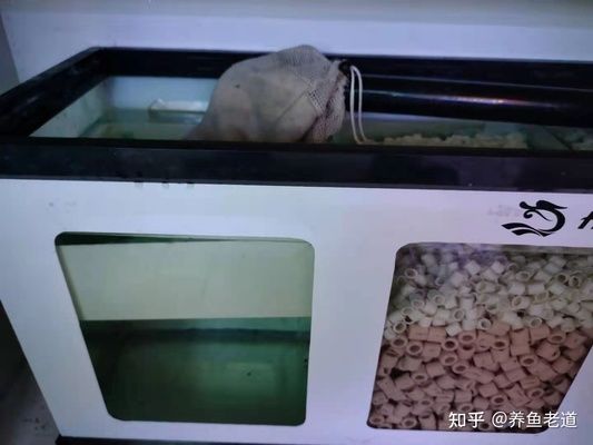 彩蝶鱼缸过滤袋泡在水里会怎么样啊：彩蝶鱼缸过滤袋泡在水里可能会导致以下几种情况 彩鲽鱼缸（彩蝶鱼缸）