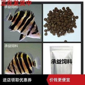 印尼虎鱼一天喂几次饲料：印尼虎鱼喂食频率主要取决于它们的年龄和饮食习惯