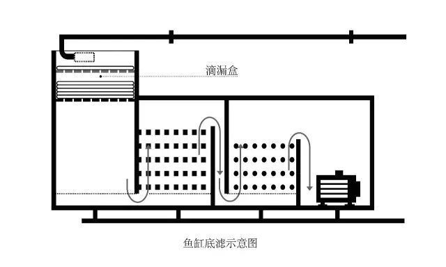 彩蝶鱼缸干湿分离摆放图：彩蝶鱼缸干湿分离改造 彩鲽鱼缸（彩蝶鱼缸） 第1张