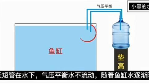 出门鱼缸怎么补水：鱼缸自动补水方法 鱼缸百科 第3张