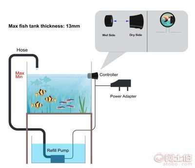 出门鱼缸怎么补水：鱼缸自动补水方法 鱼缸百科 第2张