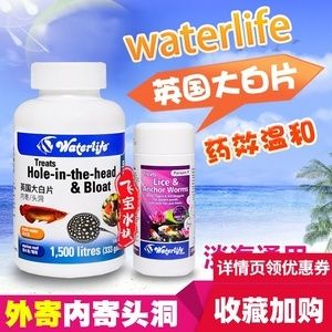 龙鱼专用药是什么药材做的：常见的龙鱼专用药及其特点