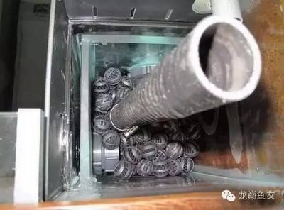 彩蝶溢流区消音技巧：彩蝶鱼缸溢流区噪音问题，以下几种常见的消音技巧 彩鲽鱼缸（彩蝶鱼缸） 第3张