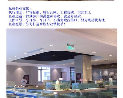 承包酒店鱼缸合同怎么写：承包酒店海鲜缸鱼缸维护合同 鱼缸百科 第3张