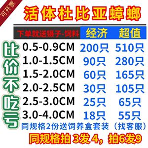 龙鱼一次喂多少饲料最好：龙鱼一次喂多少饲料最好需要考虑几个关键因素 龙鱼百科