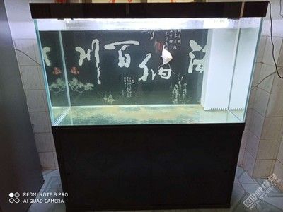 大洋鱼缸算品牌吗：“大洋鱼缸”不是一个品牌 鱼缸百科 第4张