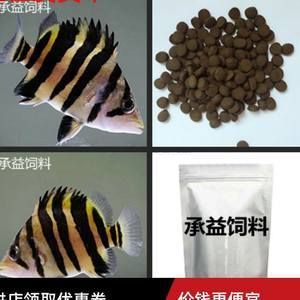 如何驯化虎鱼吃人工饲料：驯化虎鱼吃人工饲料