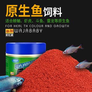 如何驯化虎鱼吃人工饲料：驯化虎鱼吃人工饲料 虎鱼百科 第2张