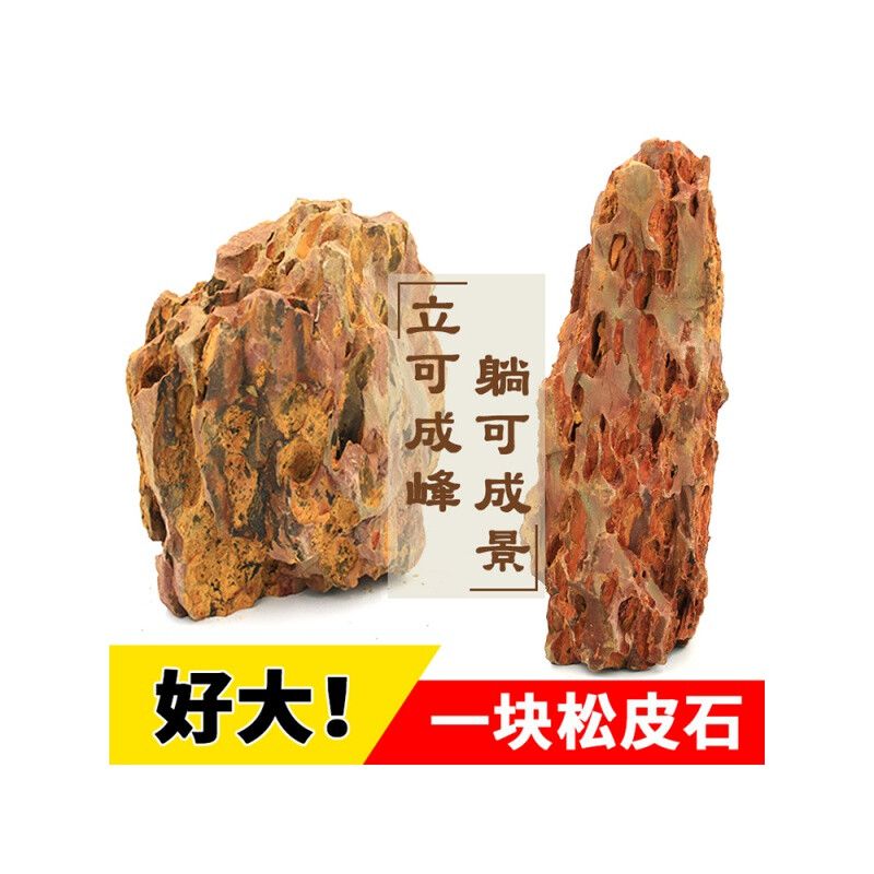 大型鱼缸装饰：大型鱼缸的造景装饰 鱼缸百科 第4张