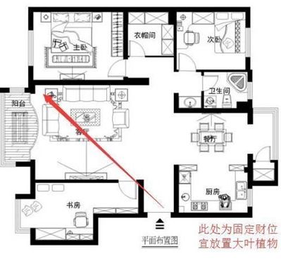 大型鱼缸客厅风水财位方位：大型鱼缸在客厅风水财位的方位应该如何摆放？ 鱼缸百科 第3张