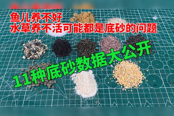 斗鱼缸放底砂好不好呢：如何选择合适的斗鱼缸底砂？