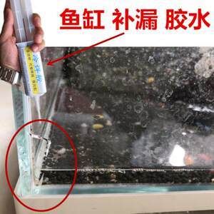 玻璃鱼缸碎了：玻璃鱼缸碎了怎么办？ 鱼缸百科 第3张