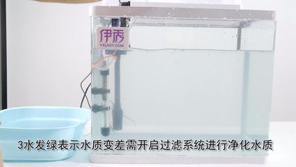 超市的鱼缸怎样管理水质：超市海鲜池水质管理 鱼缸百科 第3张