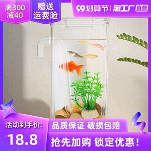 带盖鱼缸造景图：带盖鱼缸造景的养护秘籍 鱼缸百科 第3张