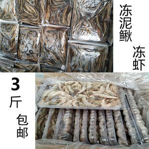 虎鱼吃冰冻过的泥鳅安全吗：虎鱼吃冰冻过的泥鳅安全吗虎鱼吃冰冻过的泥鳅安全吗 虎鱼百科 第3张