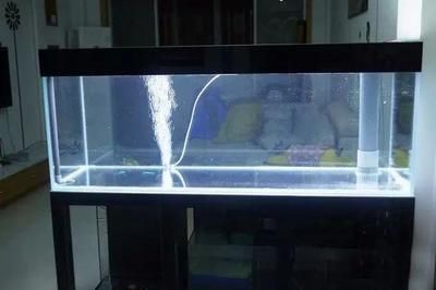 mheng鱼缸安装视频：名亨鱼缸安装视频 鱼缸 第1张