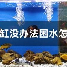 大鱼缸困水怎么办：大鱼缸困水怎么办？ 鱼缸百科 第1张