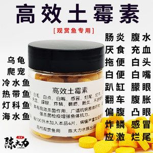 龙鱼治疗肠炎土霉素用量多少克：治疗龙鱼肠炎使用土霉素的使用方法 龙鱼百科 第1张