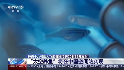 冬季鱼缸温度：冬季鱼缸水温的控制方法 鱼缸百科 第3张