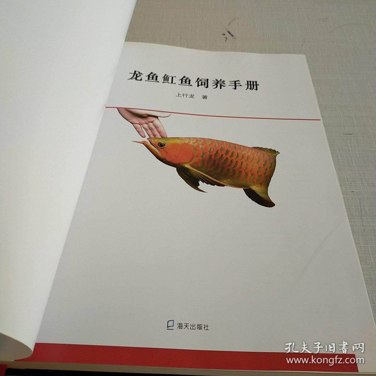 龙鱼魟鱼饲养手册pdf：《龙鱼魟鱼饲养手册》pdf下载 魟鱼百科 第2张