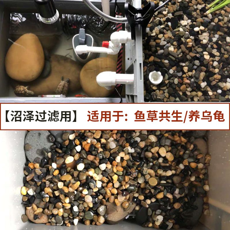 鹅卵石鱼缸制作：鹅卵石鱼缸的使用 鱼缸百科 第1张